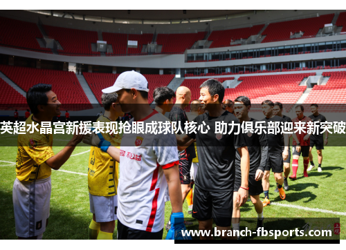 英超水晶宫新援表现抢眼成球队核心 助力俱乐部迎来新突破 英超水晶宫新援表现抢眼成球队核心 助力俱乐部迎来新突破