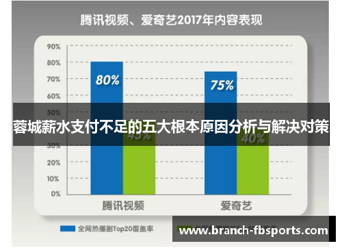 蓉城薪水支付不足的五大根本原因分析与解决对策