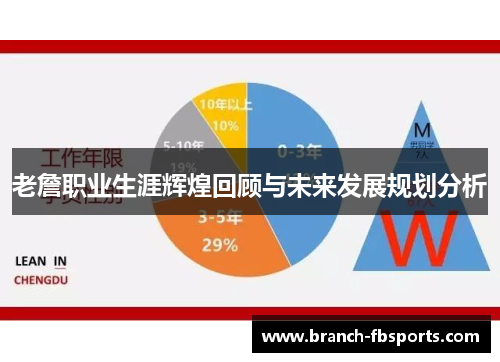 老詹职业生涯辉煌回顾与未来发展规划分析