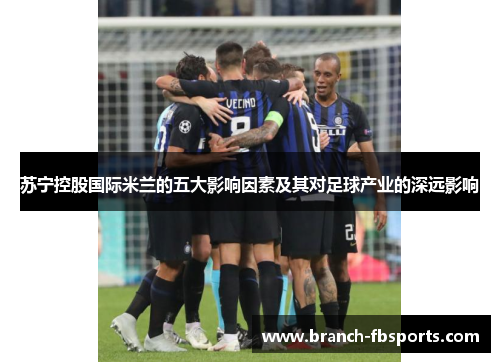 苏宁控股国际米兰的五大影响因素及其对足球产业的深远影响