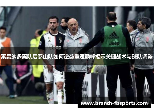 莱昂纳多离队后泰山队如何逆袭重返巅峰揭示关键战术与球队调整