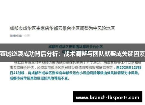 蓉城逆袭成功背后分析:战术调整与团队默契成关键因素 蓉城逆袭成功背后分析:战术调整与团队默契成关键因素