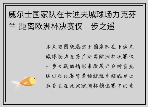 威尔士国家队在卡迪夫城球场力克芬兰 距离欧洲杯决赛仅一步之遥